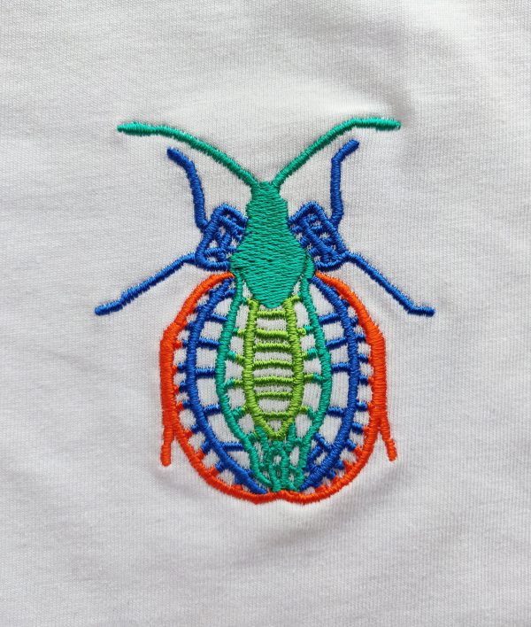 Cimice - immagine 2