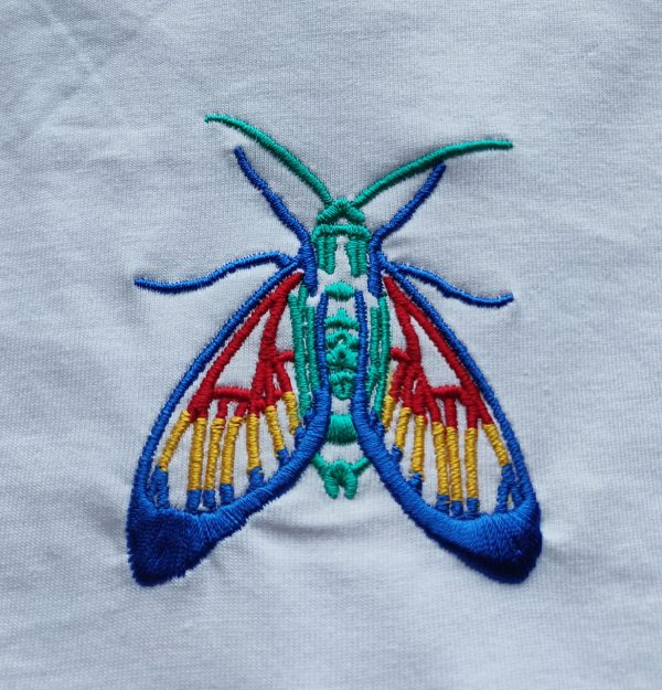 Mosca - immagine 4