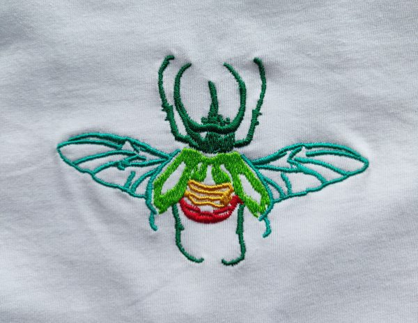 Scarabeo ali - immagine 3