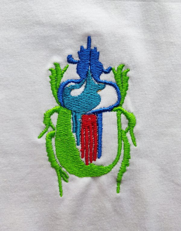 Scarabeo - immagine 5